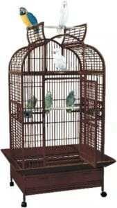 large dome top bird cage