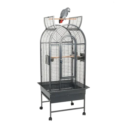 bird cages amazon