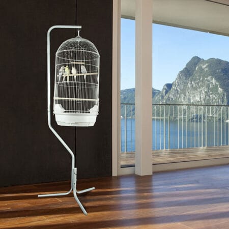 hanging bird cage