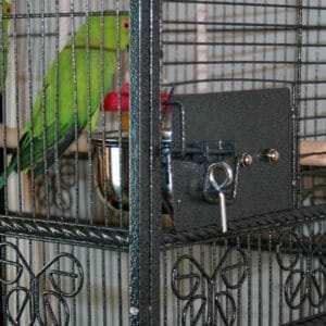 Large Bird Cage For Sale