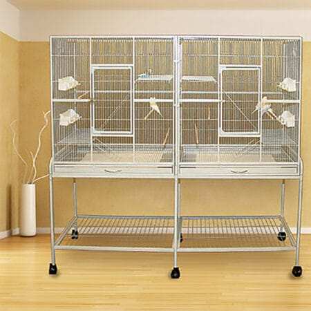 Parrot Cages