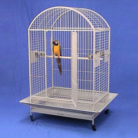 parrot cages african grey