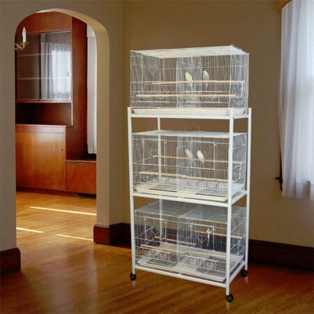 Lovebird Cages