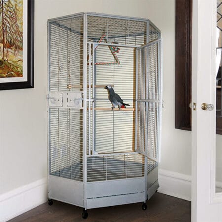 Cockatiel Cages