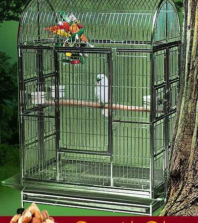 large flight cage