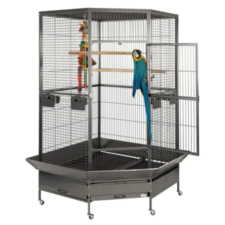 Bird Cage Amazon