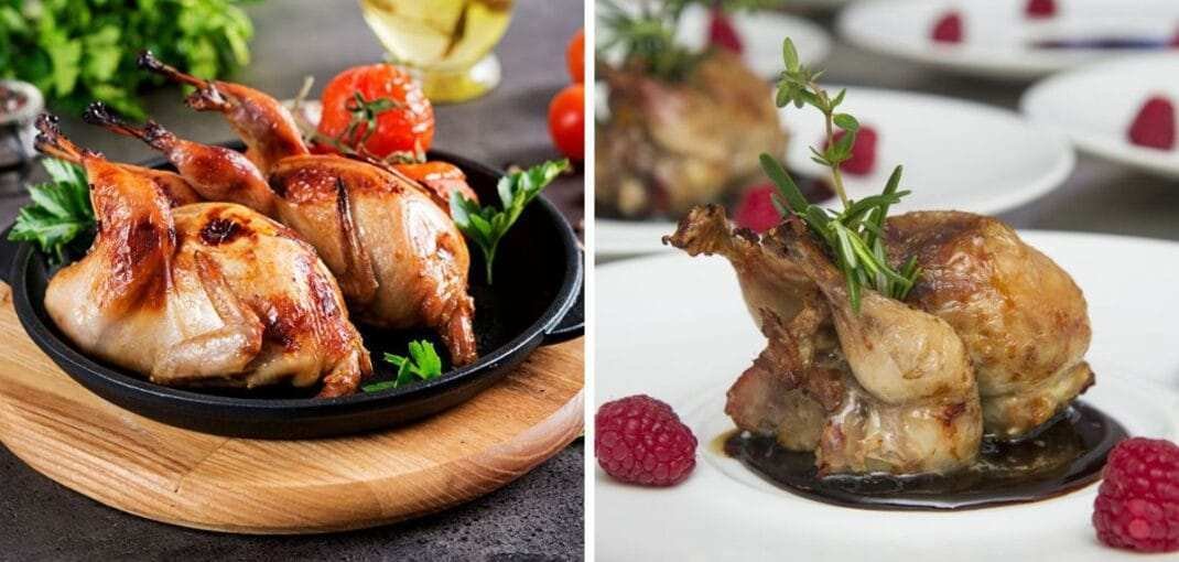 what does quail taste like
